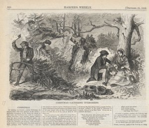 Zimozielone bożonarodzeniowe, od Harper autorstwa Winslow Homer