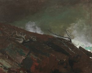 Wybrzeże Maine autorstwa Winslow Homer