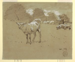 Rysunek, Owce pasące się na polu, ok. 1875-78 autorstwa Winslow Homer