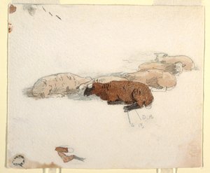 Rysunek, odpoczywająca owca, 1878 r. autorstwa Winslow Homer