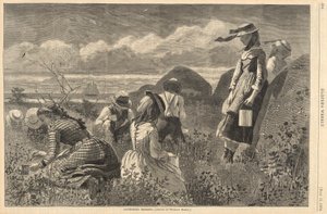 Zbieranie jagód, z Harper autorstwa Winslow Homer