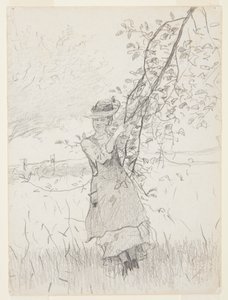 Dziewczynka trzymająca gałąź jabłoni autorstwa Winslow Homer