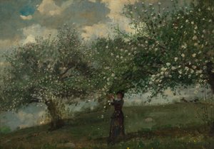 Dziewczyna zbierająca kwiaty jabłoni autorstwa Winslow Homer