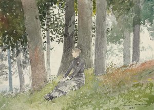 Dziewczyna siedząca w gaju autorstwa Winslow Homer