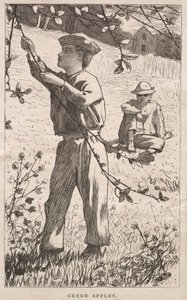 Zielone jabłka autorstwa Winslow Homer