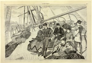 Homeward Bound, z Harper