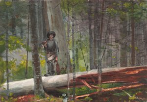  autorstwa Winslow Homer