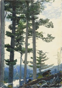 Starzy osadnicy autorstwa Winslow Homer