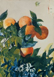 Pomarańcze na gałęzi, 1885