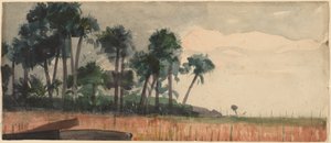 Palmy, czerwone autorstwa Winslow Homer