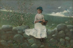 Kwiaty brzoskwini, 1878. autorstwa Winslow Homer