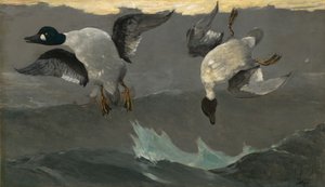 Prawo lewo autorstwa Winslow Homer