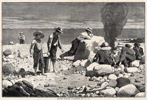  autorstwa Winslow Homer