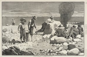  autorstwa Winslow Homer