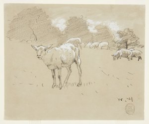 Owce pasące się na polu autorstwa Winslow Homer