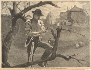Wiosenna praca na farmie autorstwa Winslow Homer