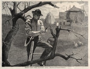  autorstwa Winslow Homer