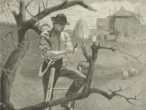  autorstwa Winslow Homer