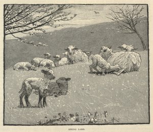 Spring Lamb, z miesięcznika Scribner
