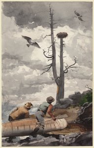 Orle Gniazdo autorstwa Winslow Homer