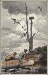 Orle Gniazdo, 1902 autorstwa Winslow Homer