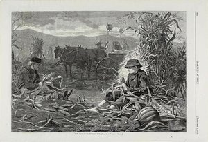 Ostatnie dni żniw autorstwa Winslow Homer
