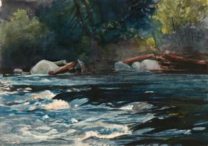 The Rapids, rzeka Hudson, Adirondacks autorstwa Winslow Homer