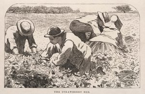 Łóżko truskawkowe autorstwa Winslow Homer