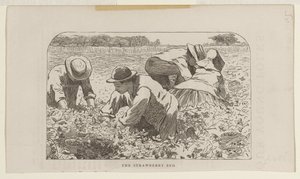 Grządka truskawek autorstwa Winslow Homer