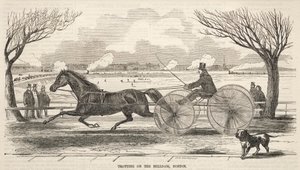 Kłusowanie na tamie młyńskiej, Boston autorstwa Winslow Homer
