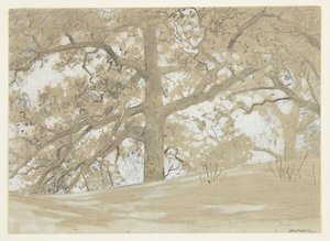 Waverly Oaks autorstwa Winslow Homer