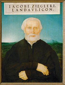 Humanista Jakob Ziegler (obraz na drewnie lipowym)