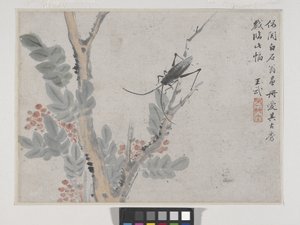 Owad i drzewo po Shen Zhou (tusz i kolor na papierze) autorstwa Wu Wang