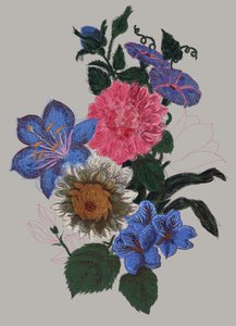 Żywa ilustracja kwiatowa