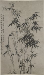 Bambus i skały, ok. 1760 (tusz na papierze) autorstwa Xie Zheng