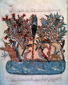 Tajemnicza wyspa zamieszkana przez dziwne zwierzęta. Miniatura zaczerpnięta z „Maqamat” (Seanse) Abu Mohammeda al-Kasima ibn Ali Hariri (1054-1122) zwieńczona przez Yahya Mahmuda al-Wasiti (al Wasiti) w 1237, Paryż, B.N. autorstwa Yahya ibn Mahmud Al Wasiti