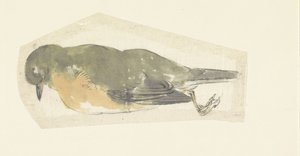 martwy rudzik autorstwa Yamamoto Shinryo Baiitsu