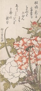 Piwonie i Irys, XVIII-XIX w. autorstwa Yanagawa Shigemasa