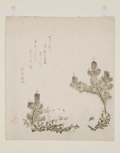 (kolorowy druk drzeworytu) autorstwa Yashima Gakutei