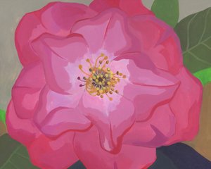  autorstwa Yvonne Gustafsson