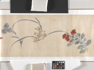 Kolorowe kwiaty autorstwa Zhimian Zhou