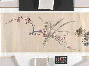 Kolorowe kwiaty autorstwa Zhimian Zhou