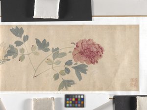 Kolorowe kwiaty autorstwa Zhimian Zhou