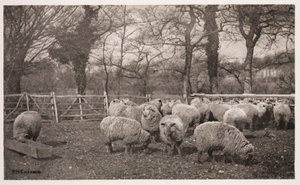 „Jesienne pasterstwo” autorstwa Frederick (attr. to) Barnard