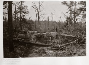 Pole bitwy Kościoła Nowej Nadziei, Georgia, USA autorstwa Ferdinand Georg Waldmuller