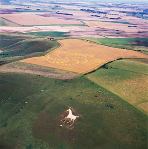 Krąg zbożowy na polu pszenicy, Milk Hill, Alton Priors, Vale of Pewsey, Wiltshire autorstwa Ferdinand Georg Waldmuller