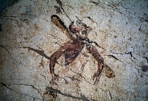 Fresco, wyspa Kos, Grecja (zdjęcie)