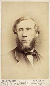John Tyndall, fizyk irlandzki, ok. 1875 autorstwa Frederick (attr. to) Barnard
