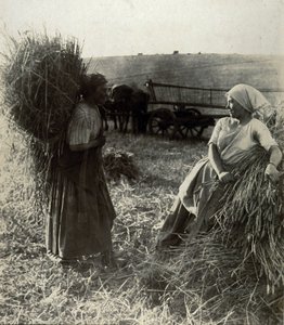 Żniwiarze, ok. 1900 autorstwa Frederick (attr. to) Barnard