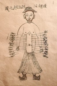 Muzeum Tradycyjnej Medycyny Wietnamskiej, Kanały i naczynia, Księga akupunktury, Ho Chi Minh, Wietnam